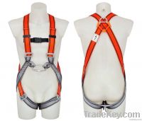 Safety Harness - ...