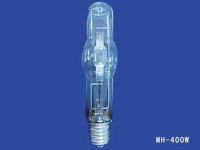 metal halide lamp