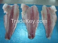 Frozen Pangasius fish