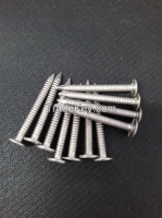 Stainless Steel Nail to USA