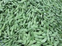 frozen green soy bean