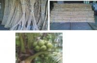 1. (Fresh Coconut) 2. (Rattan)