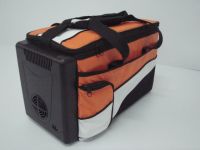 Thermoelectric Cooler Bag
