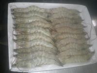 FROZEN VANAMEI SHRIMP