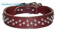 dog collars