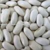 WHITE KIDNEY BEANS