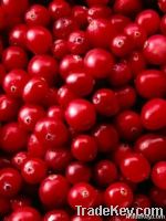 Cranberries