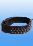 genuine leather dog collar