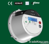 Single phase GPRS multi-function smart meter