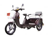 Electronic Adult Tricycle