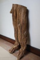 Gaharu( agarwood) heartwood