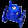 Removable Element Woltman Water Meter