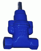 DUCTILE IRON RISING STEM GATE VALVE BOLTED BONNET