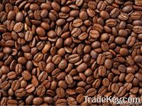 Parchment Coffee Beans