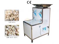 Garlic Separating Machine (With Blower)