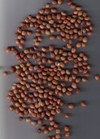 Cow Peas