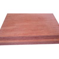 red canarium plywood(China)