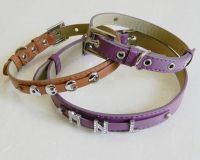 Personalized Dog collar