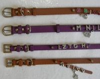 Personalized Dog collar