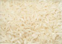 Rice of all Types/Kinds