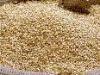 Sesame Seeds Supplier