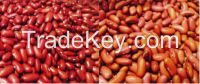 LIGHT/DARK RED KIDNEY BEANS