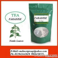 Nettle Leaf Tea