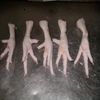 Best Quality Frozen Chicken Feet Large Size