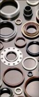 oil seals