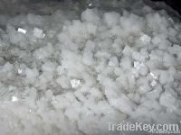 crystal lake salt - halite crystal salt