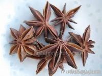 Star Aniseed