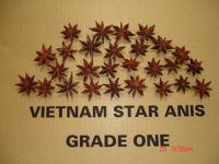 Star Anise