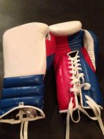 Ashway Professional Cowhide Leather Sparring Boxing Gloves Grant Model Boxing Gloves.