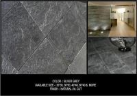 Silver Grey Quartzite