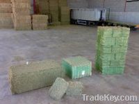 DEHYDRATED ALFALFA BALES