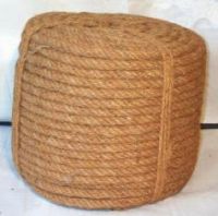 Curled Coir (Twisted Fibre)