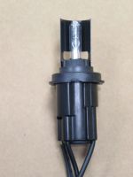 Xenon HID Bulb