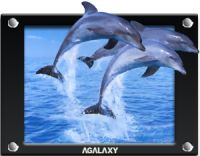 LCD AD player