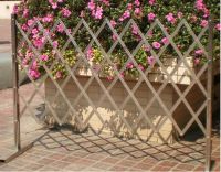 Stainless Steel Stretching Fencing