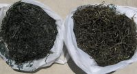 https://fr.tradekey.com/product_view/Cut-Shredded-Dried-Seaweed-Sea-Kelp-Laminaria-840165.html