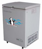 Freezer (BD/BC100T)