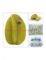 https://fr.tradekey.com/product_view/Carambola-67505.html