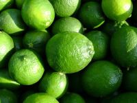 Limon Persa, Persian Lime