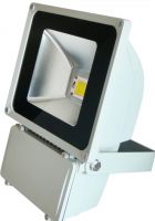 led flood light