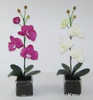 New artificial flowers