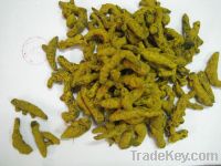 Turmeric