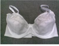 Cotton&Embroidery bra