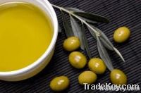 Olive Oil