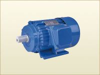 Y Series Of Three-phase Asynchronous Motors