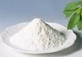 stevia dry leaves powder